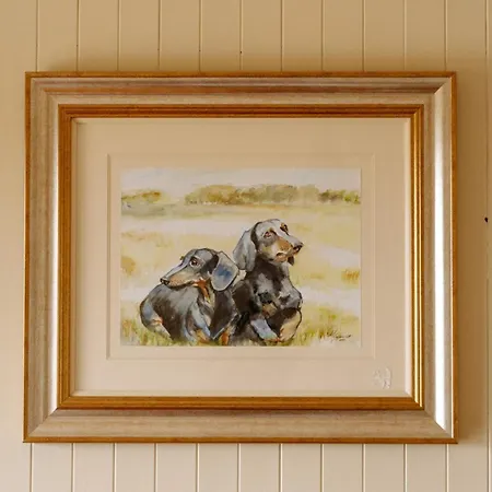 Tatil Evi Fisherman's At Angliham Estate Kilroghter