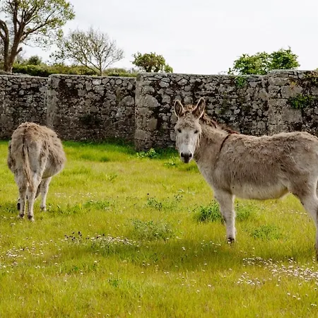 Сasa de vacaciones Fisherman's At Angliham Estate