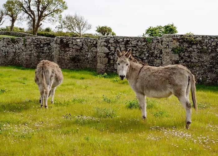 Hébergement de vacances Fisherman's At Angliham Estate
